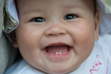 When Do Baby Teeth Erupt? A Month-by-Month Guide for New Parents